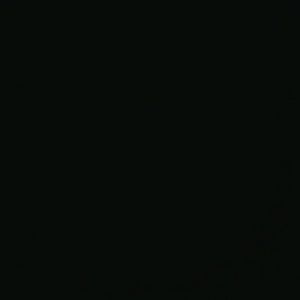 Meet your Posher, Raul